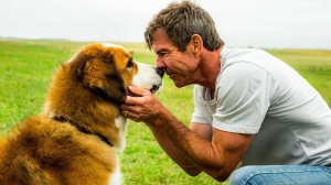 Собачья жизнь 2 (2019) — Русский трейлер