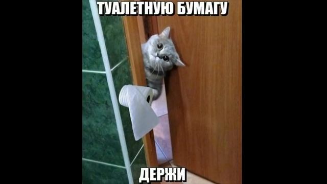 Мемасики