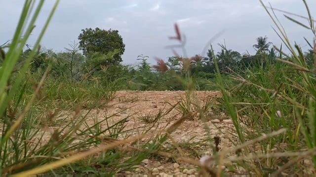 Purwodadi bike park смотреть онлайн