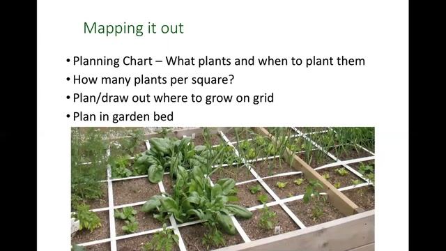 Gardening 101 with Hope Townsend смотреть онлайн