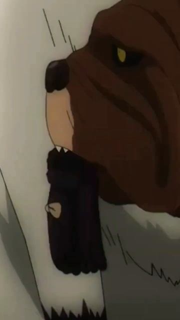 bond is the alpha dog 😂 #anyaforger #anya #bond #spyxfamily #spyxfamilyedit (pls subscribe 😁) смотреть онлайн