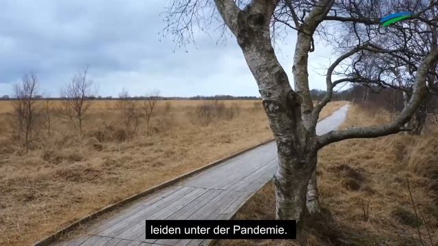 „Corona kompakt“: Die Lage in Ostfriesland смотреть онлайн