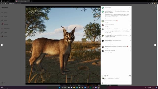 Caracal Revealed!!! IT LOOKS GOOD!!! || Planet Zoo Grasslands Animal Pack Reveals смотреть онлайн