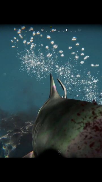 Нападение акул #shorts #deathinthewater2 смотреть онлайн