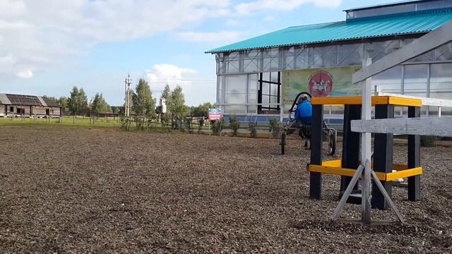 Орловский рысак Бобырь. смотреть онлайн