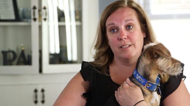 Home Security Systems for Pet Monitoring by ADT смотреть онлайн