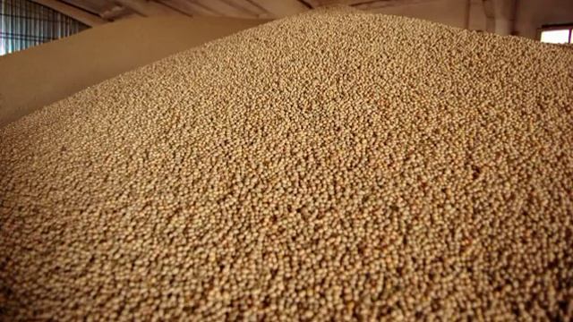 летучие мыши смотреть онлайн