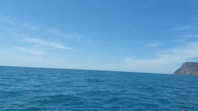 Дельфины в Балаклаве смотреть онлайн