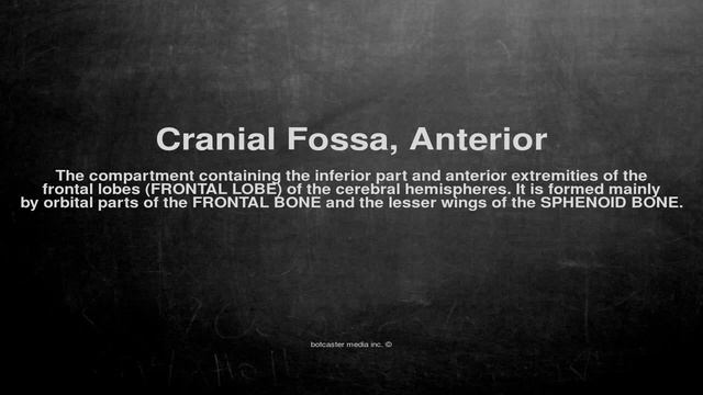 Medical vocabulary: What does Cranial Fossa, Anterior mean смотреть онлайн