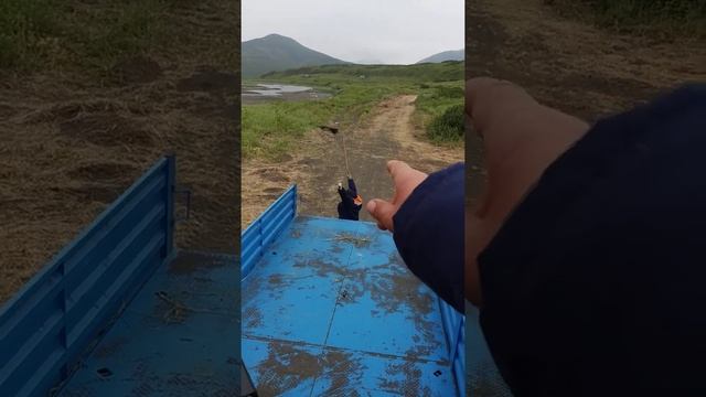 Дима жжет. Инструкция по управлению мультиком. Парамушир, бухта Шелехова. 16.08.2021 г. смотреть онлайн