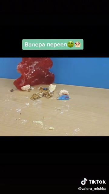Самые смешное медведь Валера смотреть онлайн