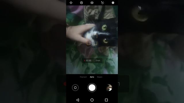 Про книги, кошку и ящериц) смотреть онлайн