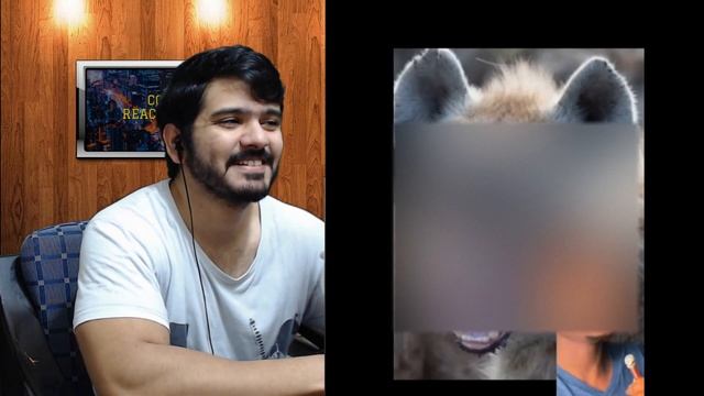 God Sent Hippos to Punish Humanity (and other stuff for 8 minutes) Reaction смотреть онлайн