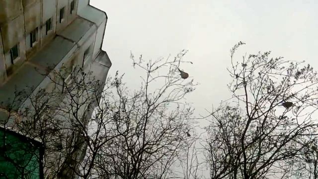 Снегири-3 смотреть онлайн