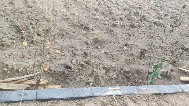 Хали хам ишлар давом этяпди.|брусчатка☎️👉55 5003010 смотреть онлайн