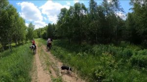 Девушка на лошади.