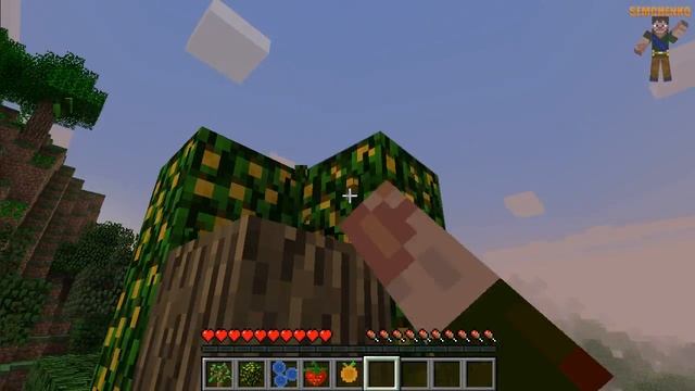 Обзор Модов #42:More Biomes Mod смотреть онлайн