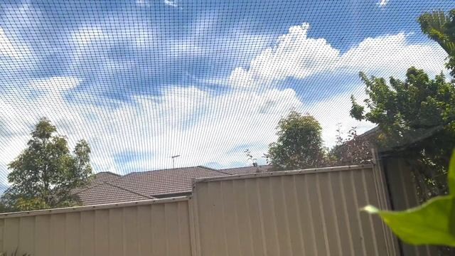 Cat Containment - Catnet' Cat Enclosures