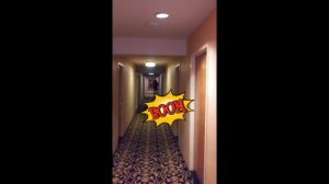 Crossdresser Bee/ Tipsy