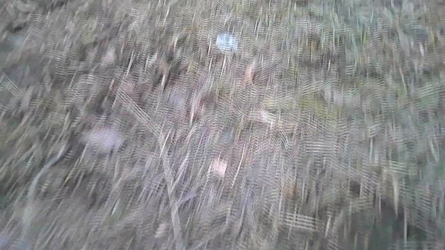 Квадракоптер