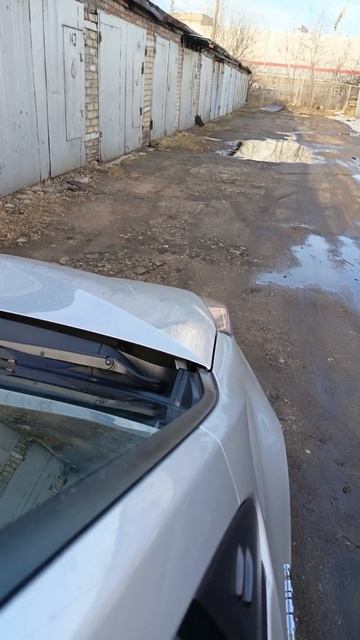 Prius 50 с родными сигналами