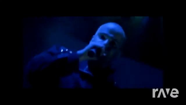 Down With the Flamingo [RAVE.DJ STOLEN MASHUP] смотреть онлайн