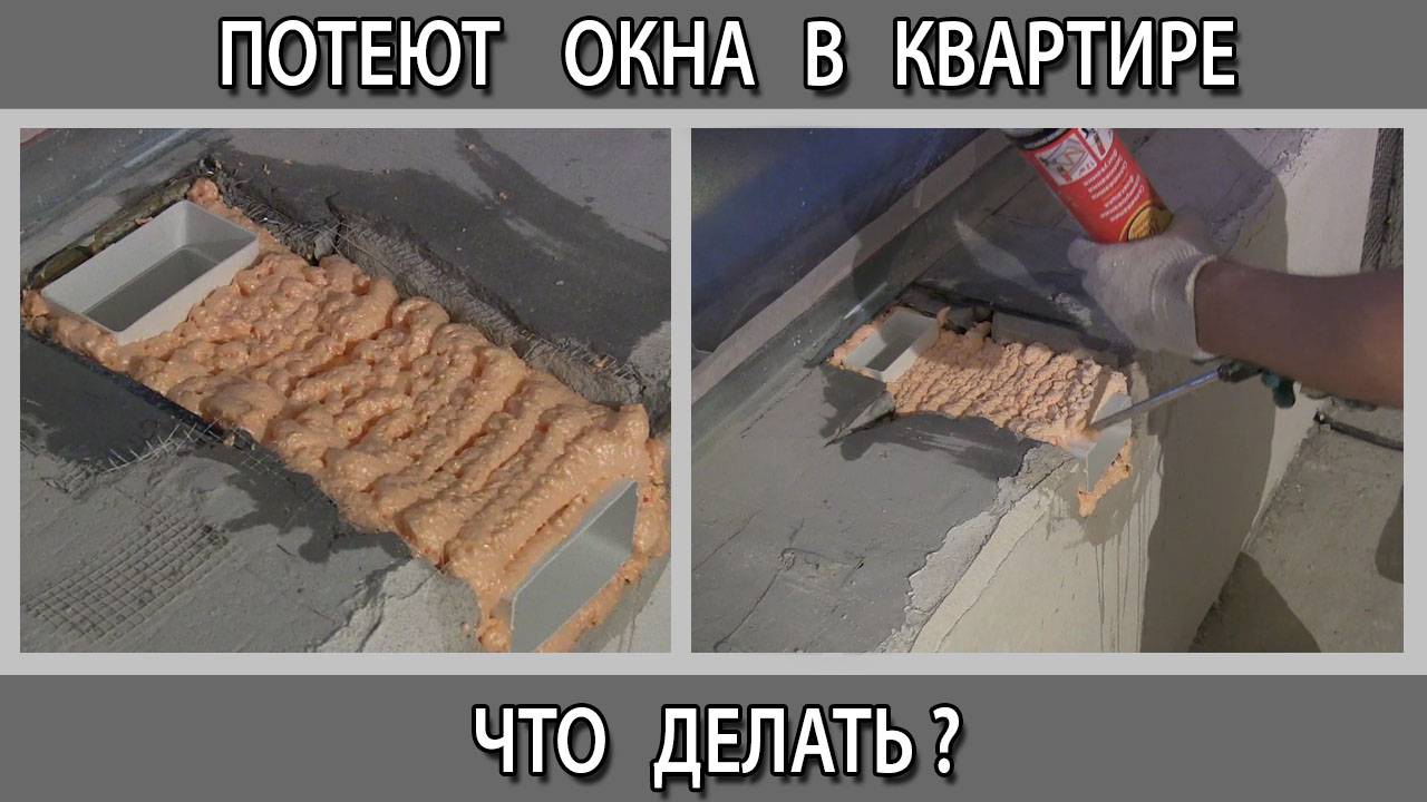 Денис Телегин