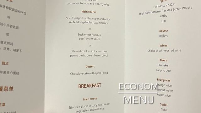 Hainan Airlines Обзор Эконом Класса | Airbus A330-300 | MSK - PEK смотреть онлайн