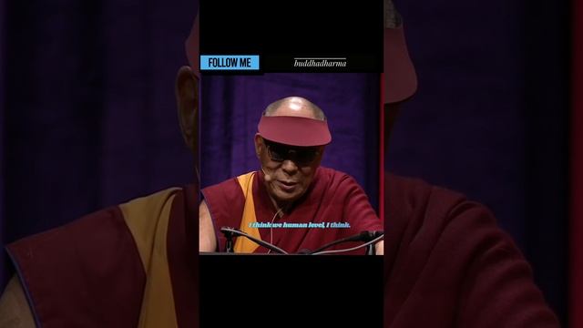 karma (cause and result)-Dalai Lama Speech. смотреть онлайн