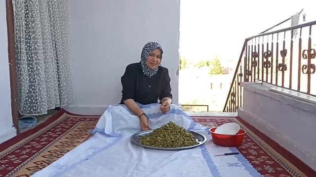 ANNEMİ BU KADAR KİM KIZDIRDI ÜZDÜ HİC YAŞININ ERİ DEGİLSİNİZ DOLABA YEŞİL FASÜLYE ATTİM DOLAP KOKUS смотреть онлайн