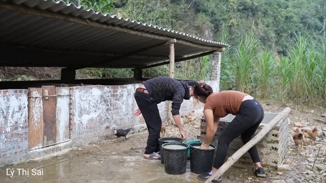 FULL VIDEO: 45 Days Harvest Apples, Yams, Cabbage And Potatoes To Take To Market L Lý Thị Sai