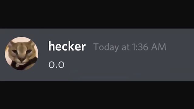 Beluga : Discord, But Your Instagram Gets Hecked