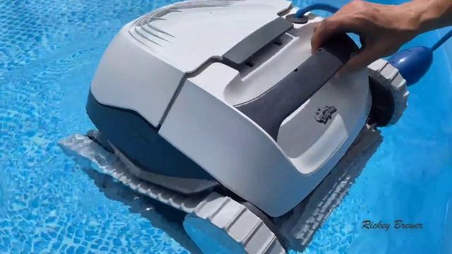 Dolphin E10 Robotic Pool Vacuum Cleaner Review (2024 Model) - is it going to clean the pool? смотреть онлайн