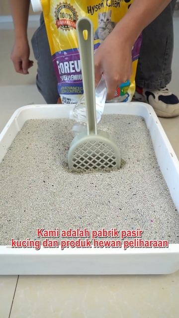 Can you use the litter shovel correctly смотреть онлайн
