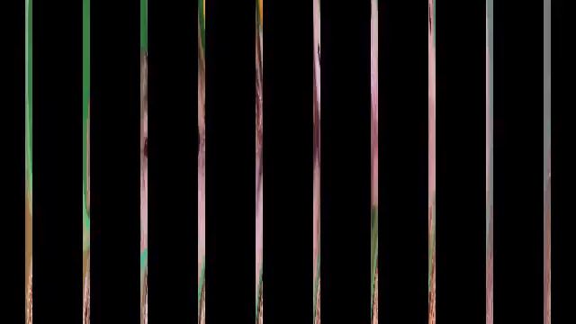 Хомяки и о джунгарских хомячков смотреть онлайн