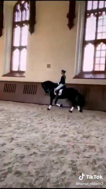 Фризкий жеребец 😗✌️ смотреть онлайн