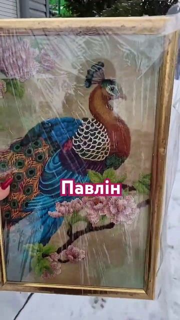 #павлины #павлин #жарптица #рекомендации #blogger #youtubeshorts #рек #blog #shortsyoutube #short # смотреть онлайн