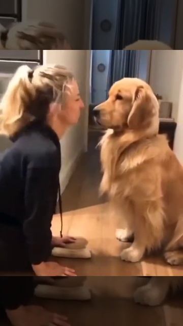 girl kissing the dog смотреть онлайн