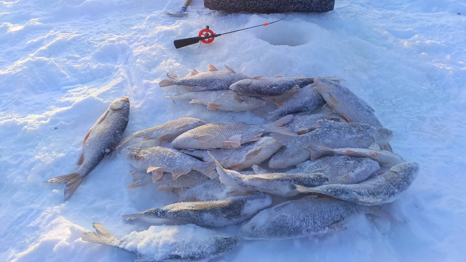 ВОТ ЭТО Я УДАЧНО ПРО БУРИЛСЯ,В ПЕРВОЙ ЖЕ ЛУНКЕ 17 ШИКАРНЫХ ХВОСТОВ.МОРОЗНЫЙ ДЕНЬ НА ТАЁЖНОЙ РЕКЕ. смотреть онлайн
