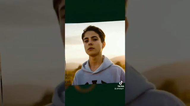 Felix the shark | Resúmen смотреть онлайн