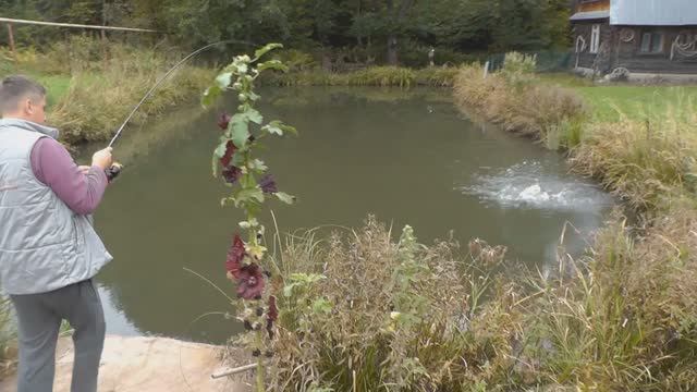 Щука в своём пруду. Рыбалка смотреть онлайн