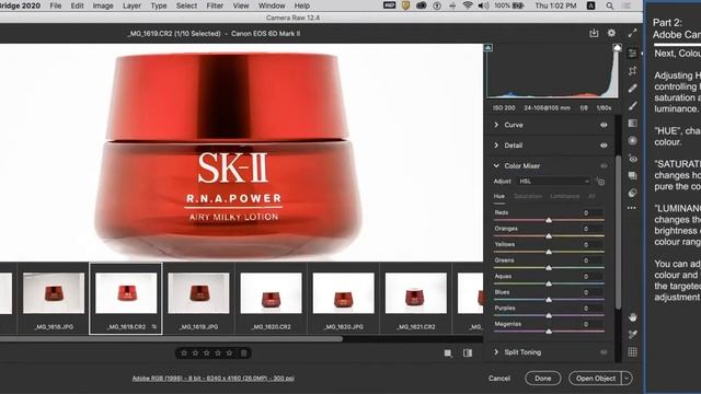 INTRODUCTION TO ADOBE BRIDGE AND ADOBE CAMERA RAW CONVERSION смотреть онлайн