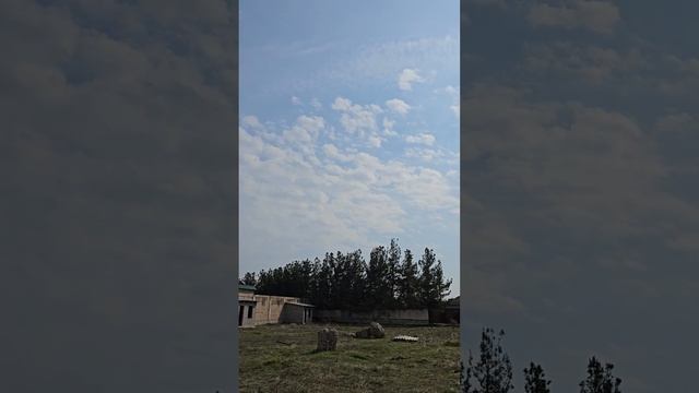 Qibray 18 sotix bolib sotiladi смотреть онлайн