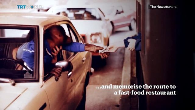 Picture This: Sign language orangutan dies смотреть онлайн