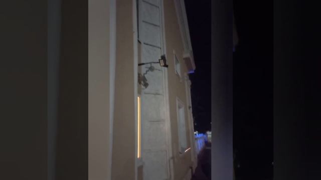 Осень 🎼🎧 смотреть онлайн