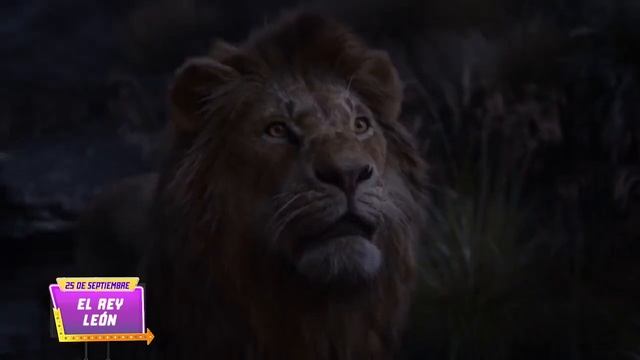 EL REY LEON ESTRENO 25 DE SEPTIEMBRE AZTECA 7 смотреть онлайн