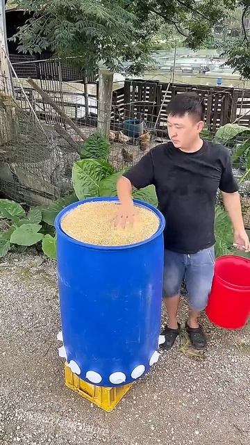 Semi-automatic poultry feed bin design #chicken #birds #agriculture #farming смотреть онлайн