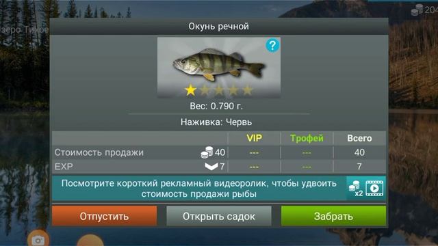 My Fishing World достиг 7 разряда и поймал 1к.231г. османа! смотреть онлайн