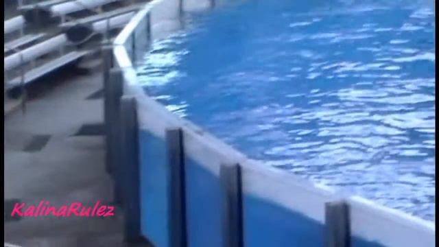 Katina&Makaio(Part 1)-(10-10-10) смотреть онлайн
