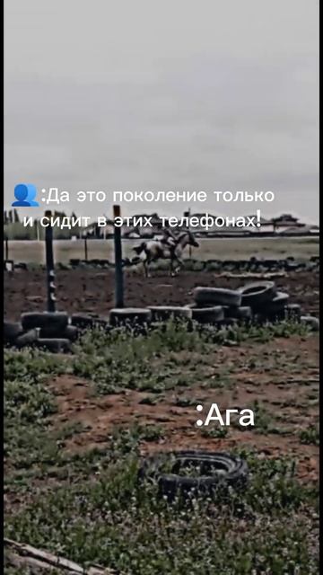 конный спорт моя жизнь...🩹💘 #рекомендации #говрек #конныйспорт #кони #хочуврек смотреть онлайн